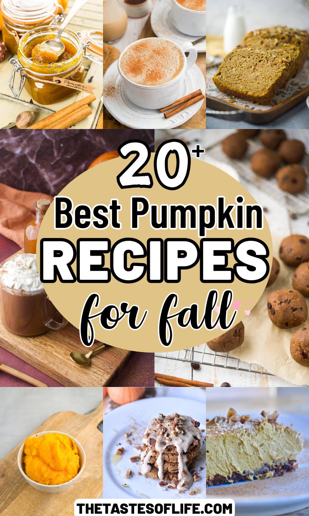 Roundup Image for Best Pumpkin Recipes for Fall