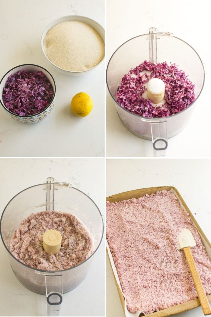 Four panels show: a bowl of sugar, a bowl of purple flower petals, and a lemon; flower petals and sugar in a food processor; the blended mixture; the mixture spread on a baking tray with a spatula.