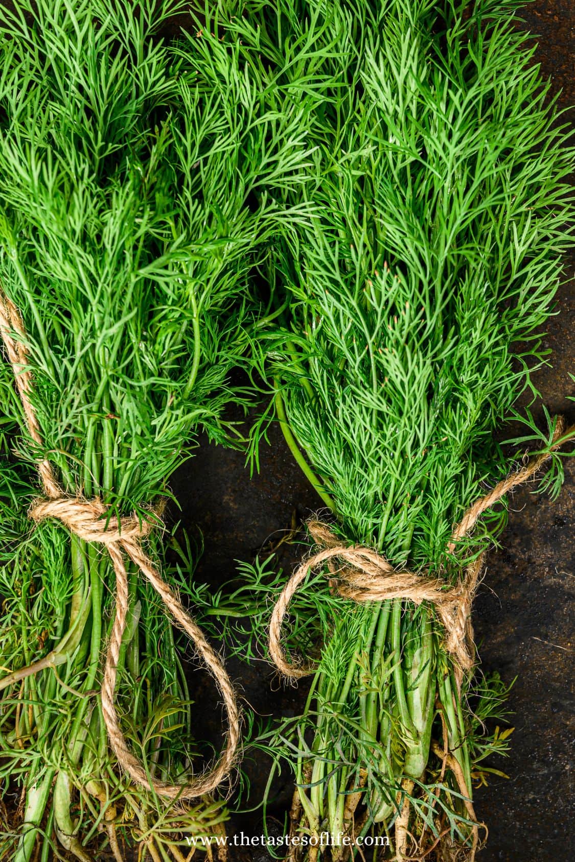 Best Herbs And Spices For Spring Cooking | The Tastes of Life Holistic ...