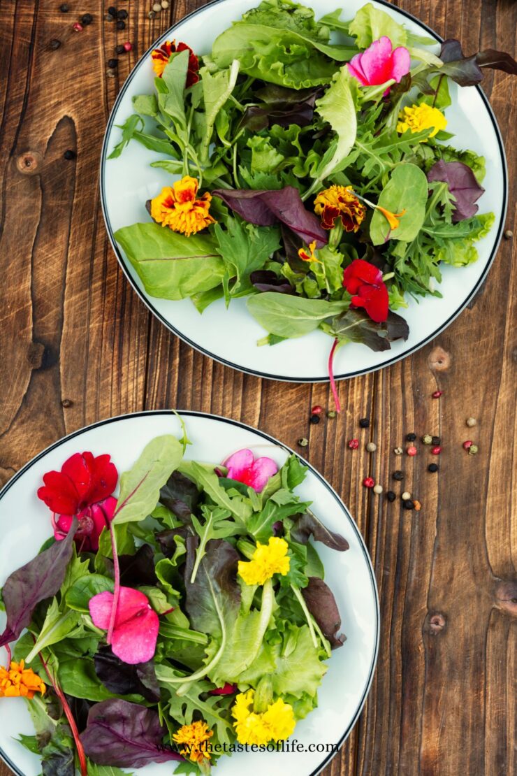 Two plates of fresh mixed green salad topped with colorful edible flowers, placed on a rustic wooden table with scattered peppercorns.