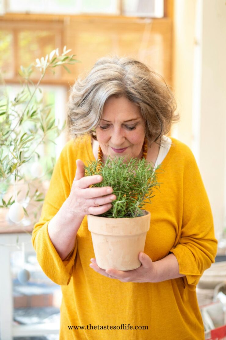 A woman with gray hair wearing a yellow top is holding a potted plant and gently smelling its leaves, standing indoors with sunlight streaming through the window behind her.