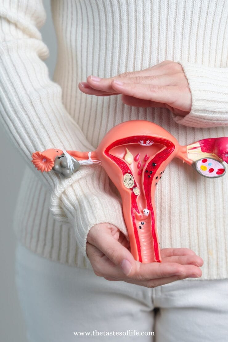 A person in a white sweater holds a detailed anatomical model of a female reproductive system, showing the uterus, ovaries, and fallopian tubes.