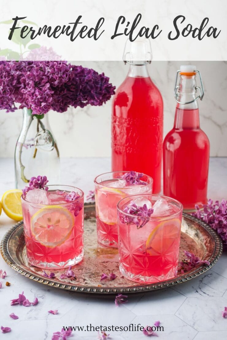 Three glasses of pink fermented lilac soda with ice, lemon slices, and lilac flowers on a silver tray. Two bottles of soda and a vase of lilacs are in the background. Text reads Fermented Lilac Soda.