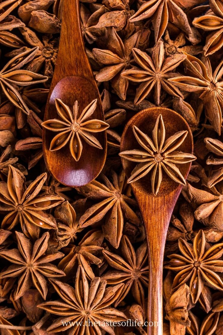 Two wooden spoons each holding a star anise pod, surrounded by many star anise pods. The image is rich in brown tones and has a close-up, detailed texture.