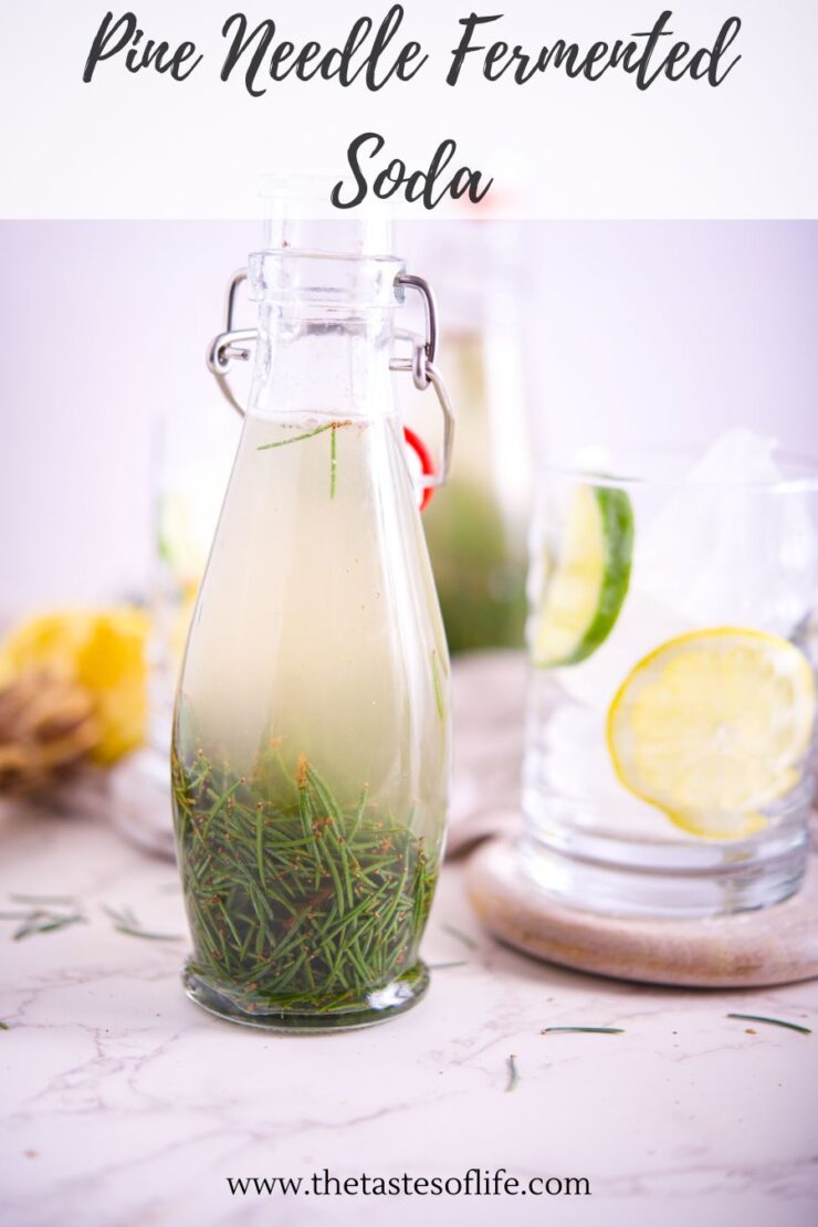A glass bottle filled with pine needle fermented soda sits on a light surface, with floating pine needles inside. In the background, a glass with ice, lime, and lemon slices is visible. Text reads “Pine Needle Fermented Soda.”.