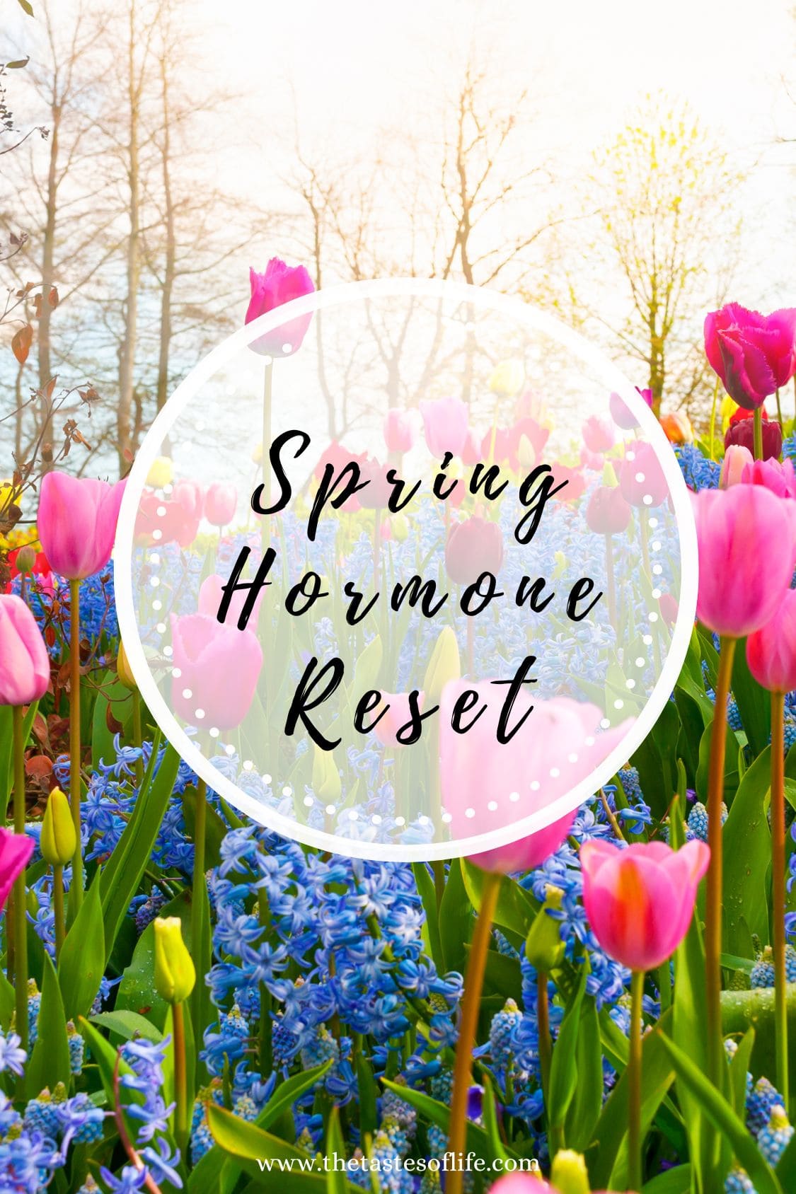 Colorful spring flowers, including pink tulips and blue hyacinths, bloom in a garden with bare trees and sunlight in the background. Overlaid text reads Spring Hormone Reset. Website URL appears at the bottom.