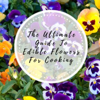 The Ultimate Guide To Edible Flowers For Cooking.