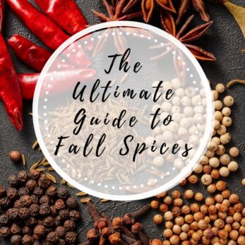 A variety of fall spices, including star anise, chili peppers, peppercorns, and seeds, arranged on a dark surface with text overlay reading The Ultimate Guide to Fall Spices..