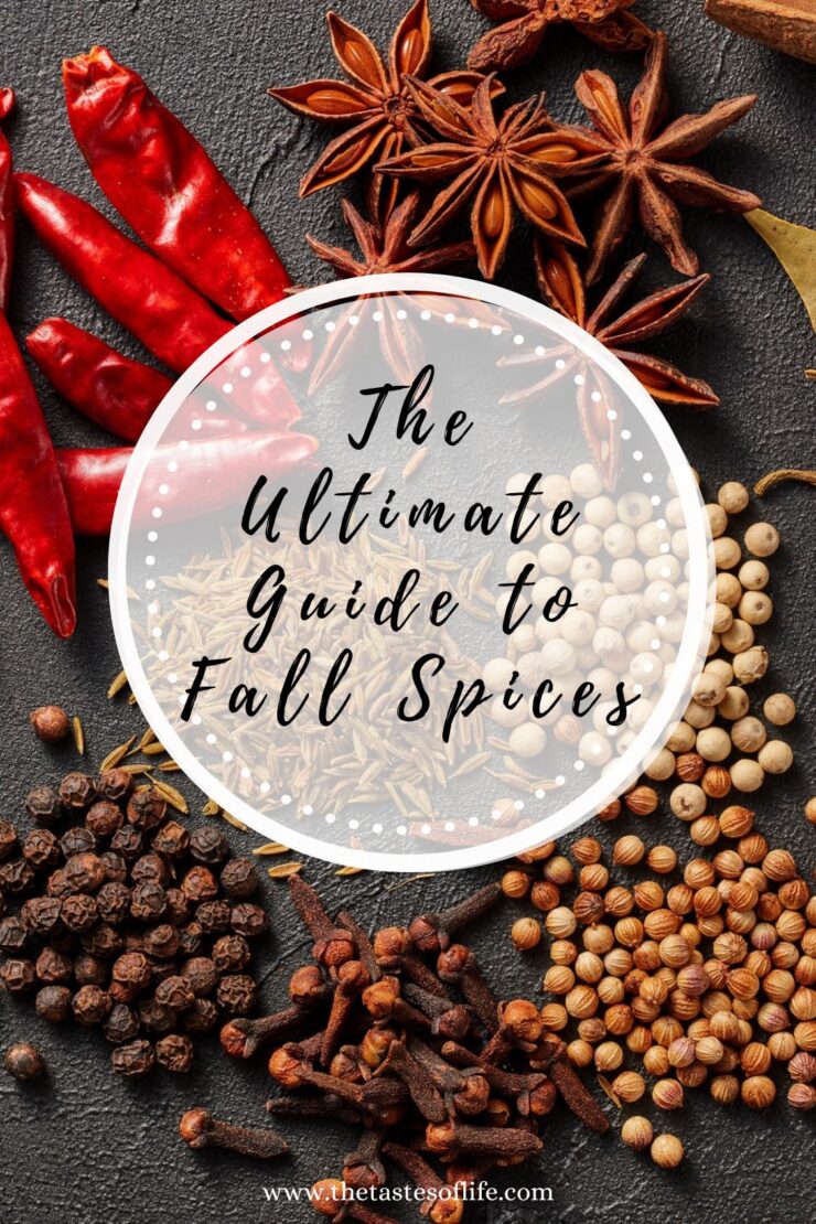 Whole spices including star anise, dried red chilies, black peppercorns, white peppercorns, coriander seeds, and cloves are arranged around a circular label that reads The Ultimate Guide to Fall Spices..