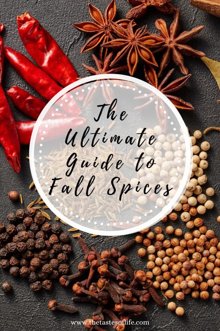 Whole spices including star anise, dried red chilies, black peppercorns, white peppercorns, coriander seeds, and cloves are arranged around a circular label that reads The Ultimate Guide to Fall Spices..
