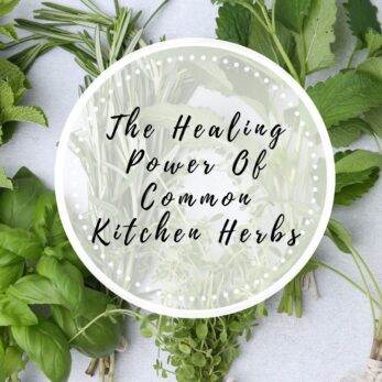 A flat lay of fresh kitchen herbs, including basil, parsley, mint, and rosemary, with the text “The Healing Power Of Common Kitchen Herbs” written in a white circle overlay in the center.