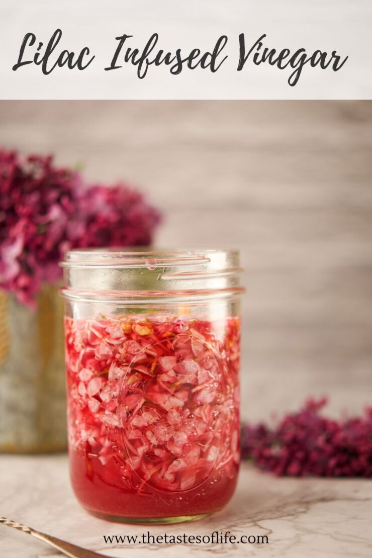 A glass jar filled with pink lilac-infused vinegar sits on a table, with lilac flowers in the background. Text at the top reads Lilac Infused Vinegar, and a website address is at the bottom.