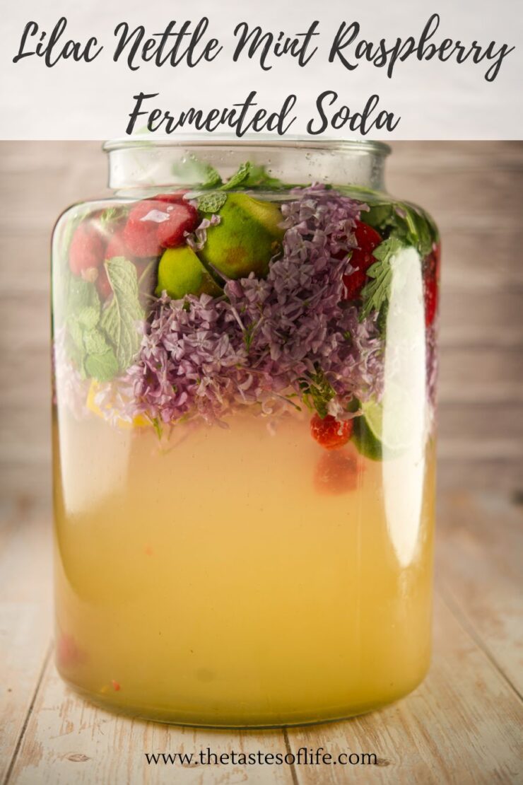 A large glass jar filled with a pale, fizzy liquid and layers of fresh lilac flowers, mint leaves, raspberries, and limes. Text above reads &ldquo;Lilac Nettle Mint Raspberry Fermented Soda.&rdquo;.
