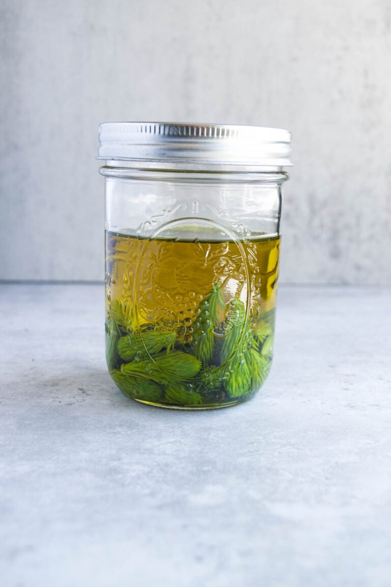 How To Make Pine Tips/ Needles Infused Oil