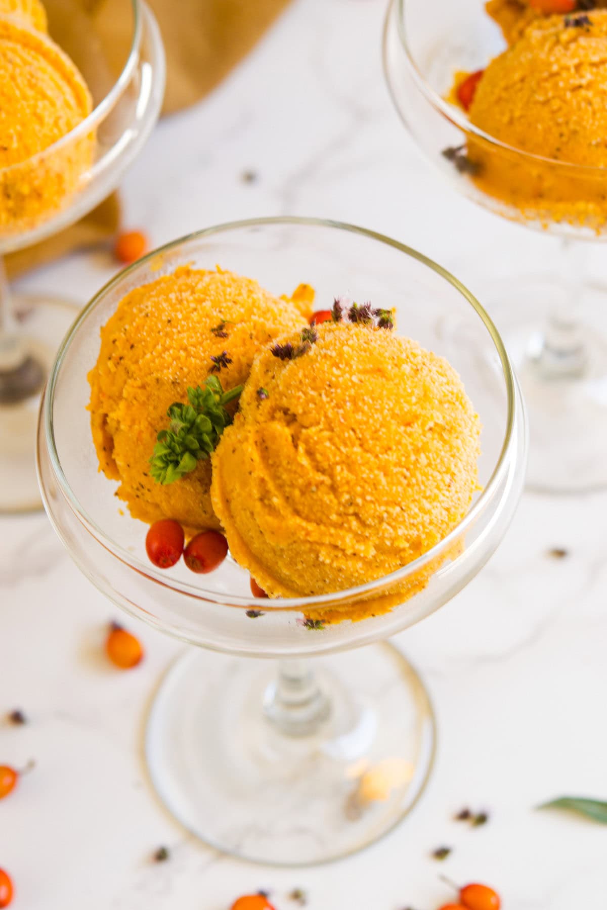 Sea Buckthorn Berry Sorbet