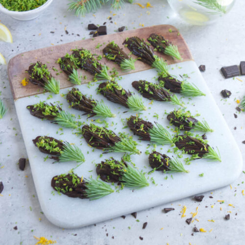 How To Make Chocolate-Covered Spruce Tips