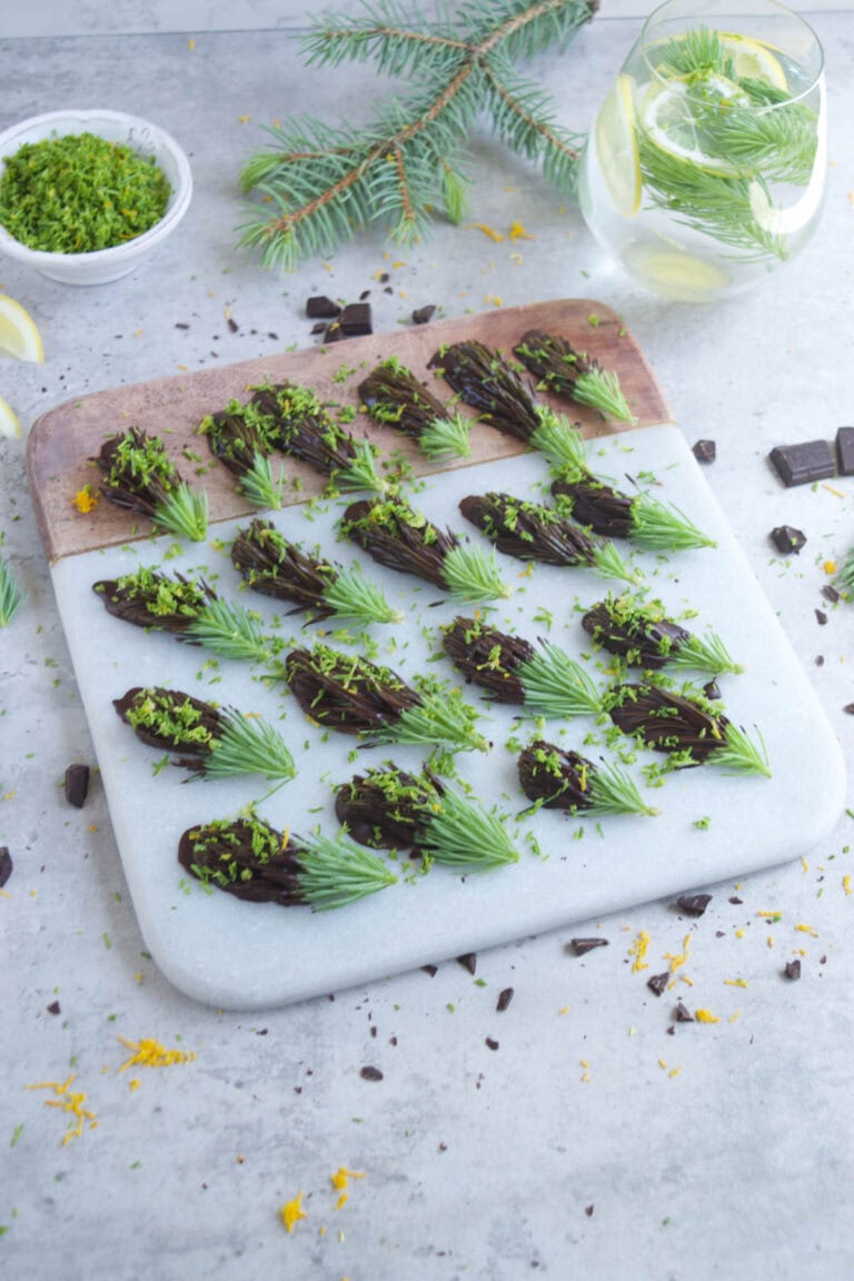 How To Make Chocolate-Covered Spruce Tips
