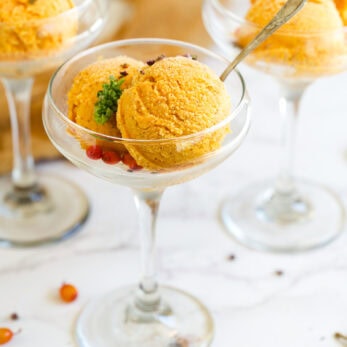 Sea Buckthorn Berry Sorbet