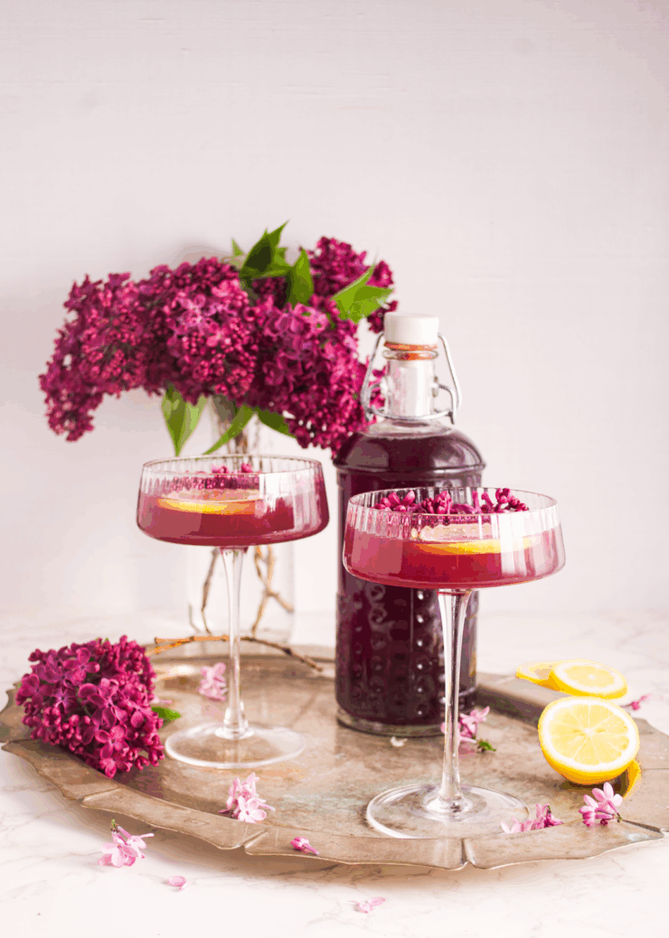 Two coupe glasses filled with a deep purple drink made with Lilac Simple Syrup and garnished with lemon slices and lilac flowers sit on a tray. A bottle of the same drink, lilacs in a vase, and lemon slices are arranged around them.