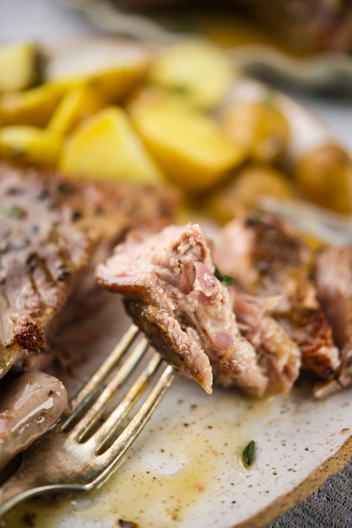 A close-up of a fork holding a juicy piece of cooked meat, with sliced potatoes and more meat on a plate in the background. The dish is garnished with herbs and drizzled with sauce.