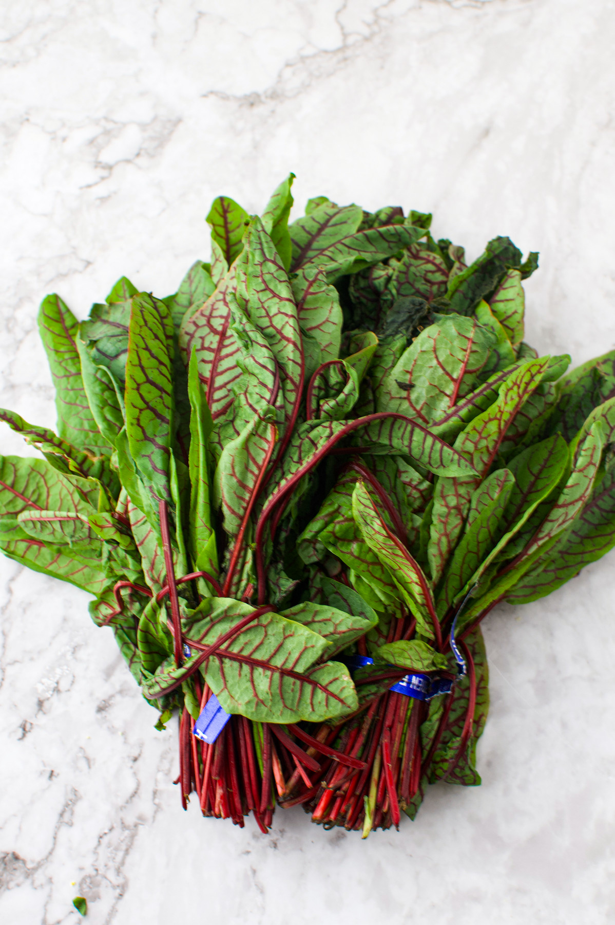 A bunch of fresh red-veined sorrel leaves with deep red stems and veins, tied together with blue twist ties, resting on a light marble surface.