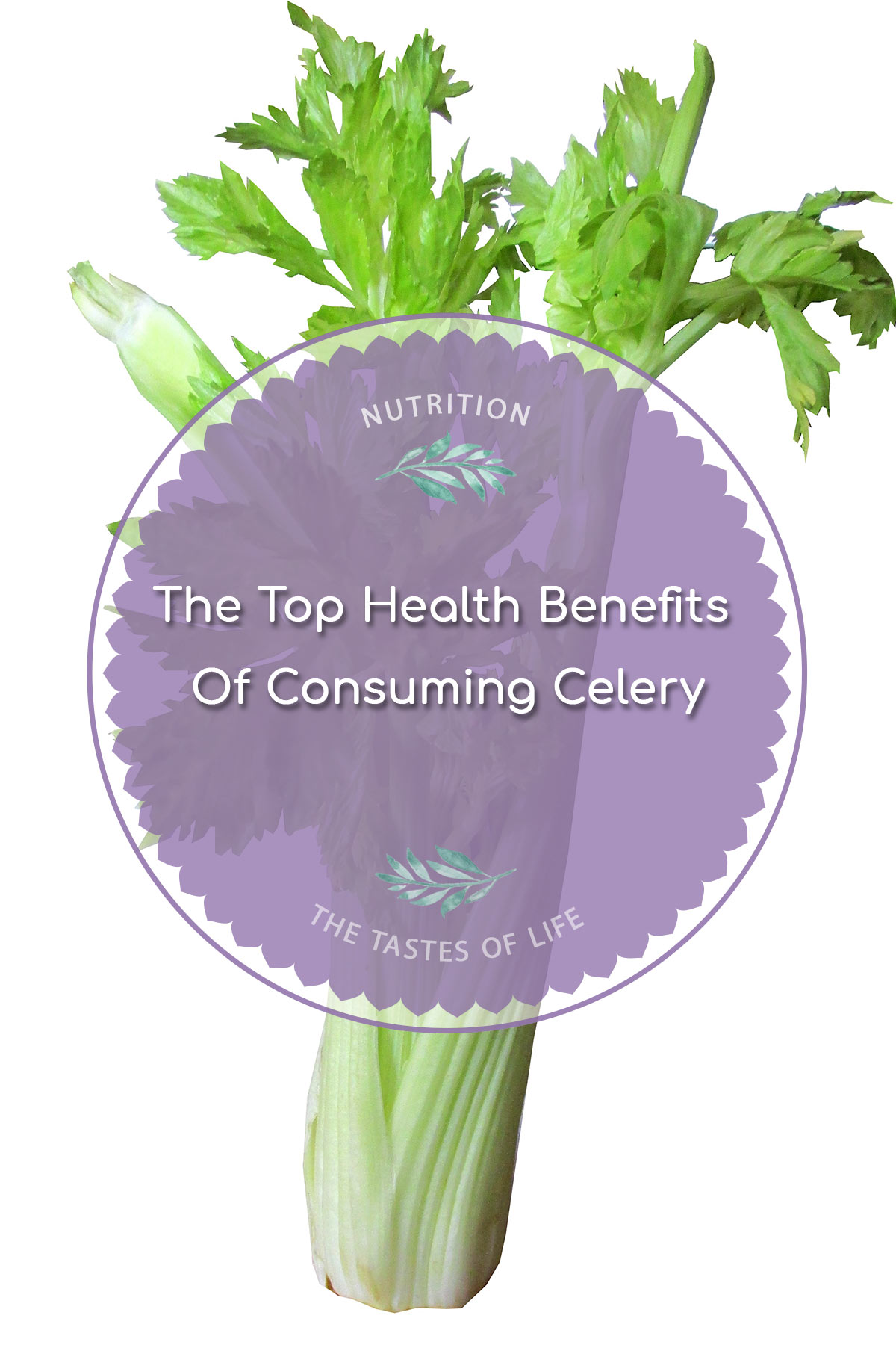 The Top Health Benefits Of Consuming Celery
