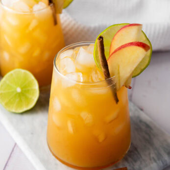 Sparkling Apple Cider Ginger Mocktail