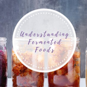 Understanding Fermented Foods