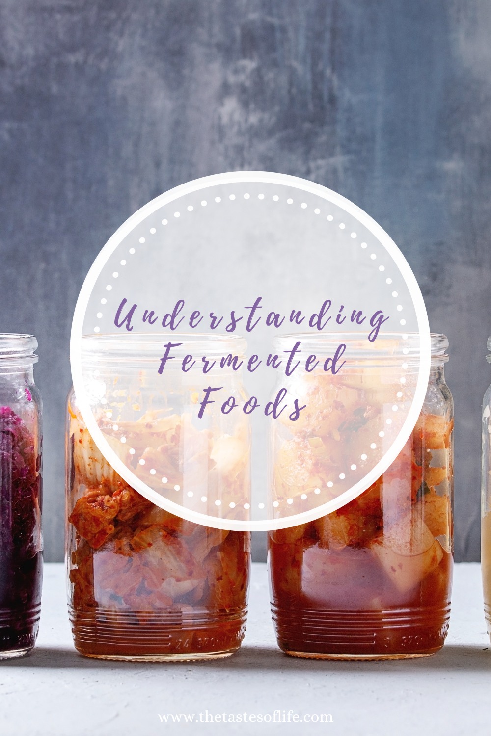 Understanding Fermented Foods