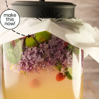 A large glass jar filled with Lilac Nettle Mint Raspberry Fermented Soda cloth and secured with a black lid. Text above reads “Lilac Nettle Mint Raspberry Fermented Soda.”.