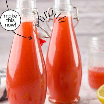 Two glass bottles filled with bright red homemade rhubarb syrup stand on a marble counter. Slices of rhubarb and part of a lemon are nearby. Text reads Homemade Rhubarb Syrup and thetasteoflife.com.