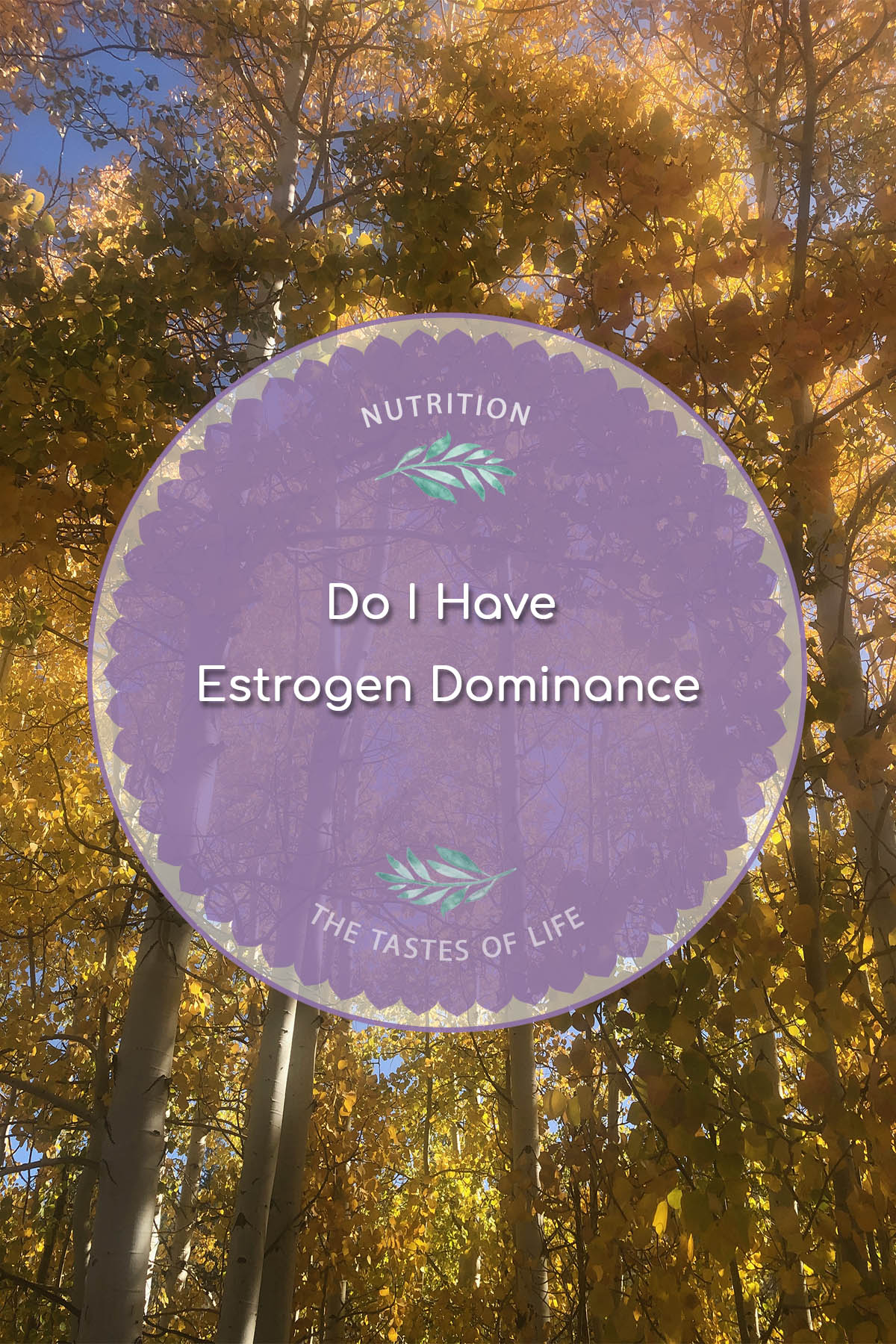 Do I Have Estrogen Dominance?