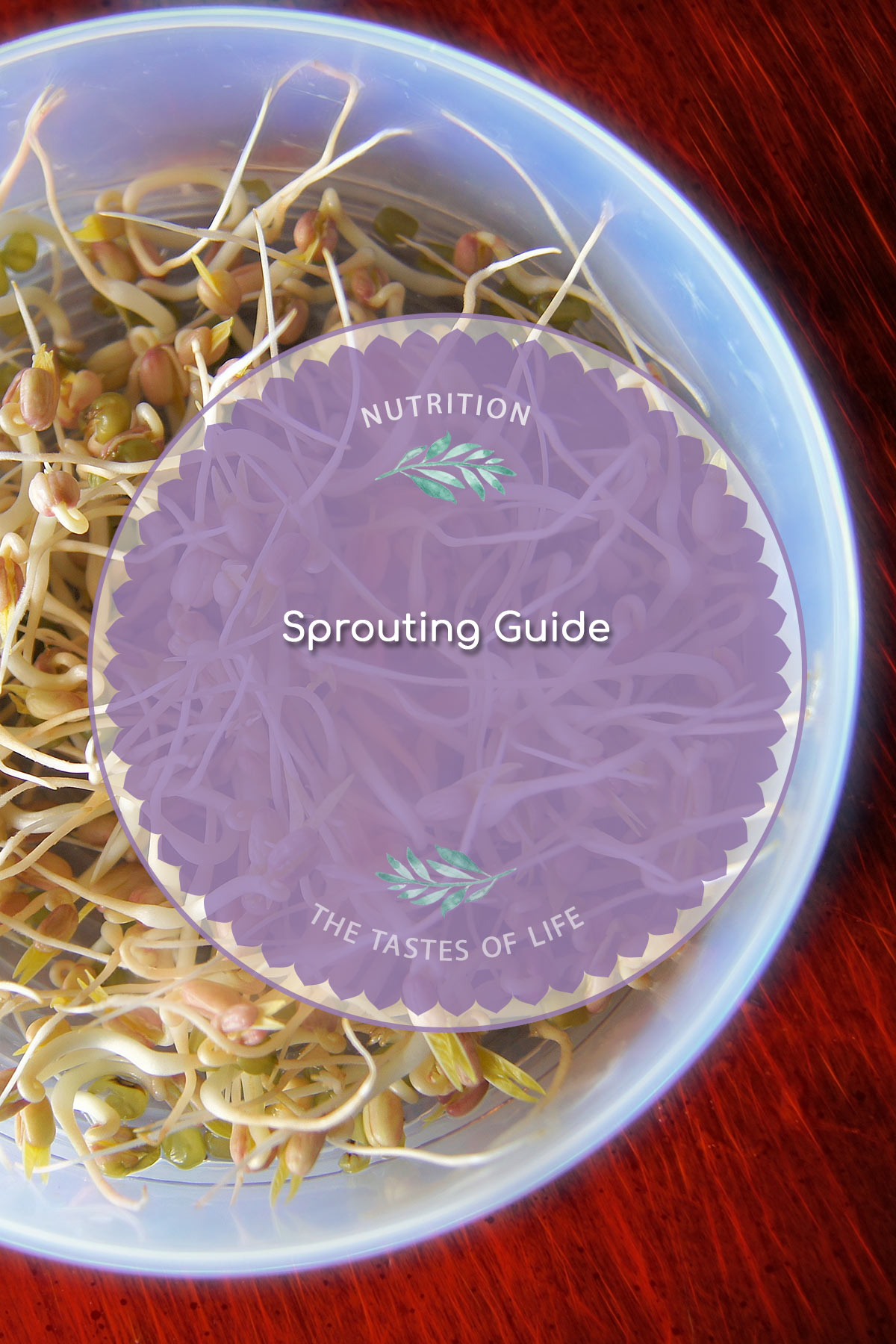 Guide to Sprouting