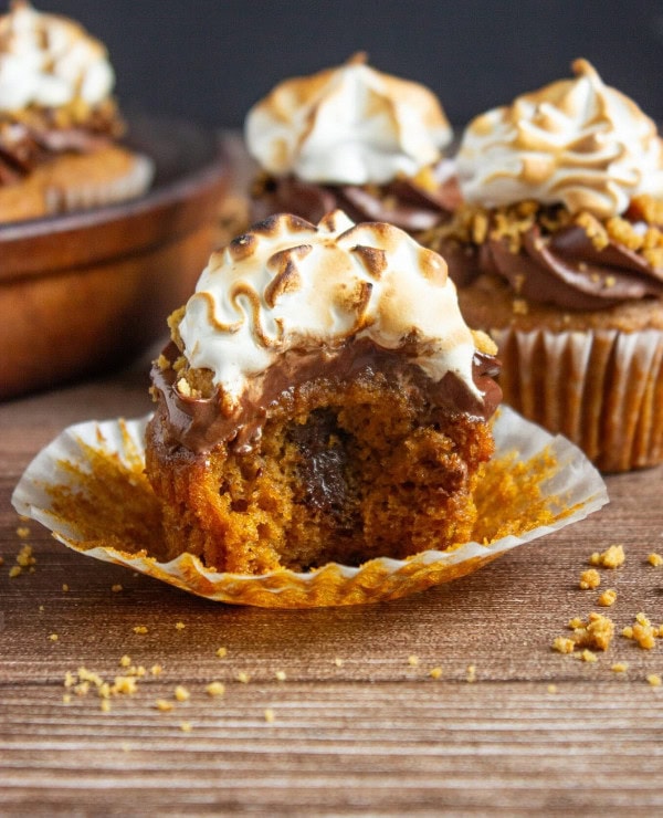 Roundup Image for Healthy Pumpkin Desserts
