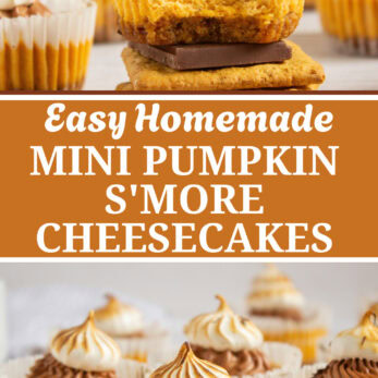 Mini pumpkin cheesecakes topped with toasted meringue and chocolate, displayed on graham crackers, with more cheesecakes blurred in the background. Text overlay reads Mini Pumpkin Smore Cheesecakes.