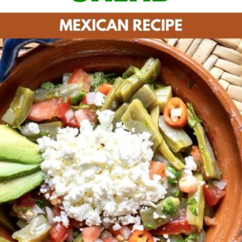 A vibrant bowl of Grilled Nopales Salad featuring tomatoes, avocado slices, cheese, and peppers showcases an authentic Mexican recipe. Text reads: Grilled Nopales Salad. Mexican Recipe. thetastesoflife.com.