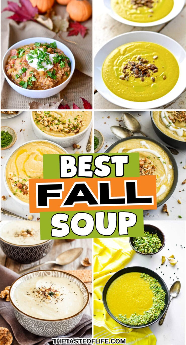 Roundup Image for Best Fall Soups