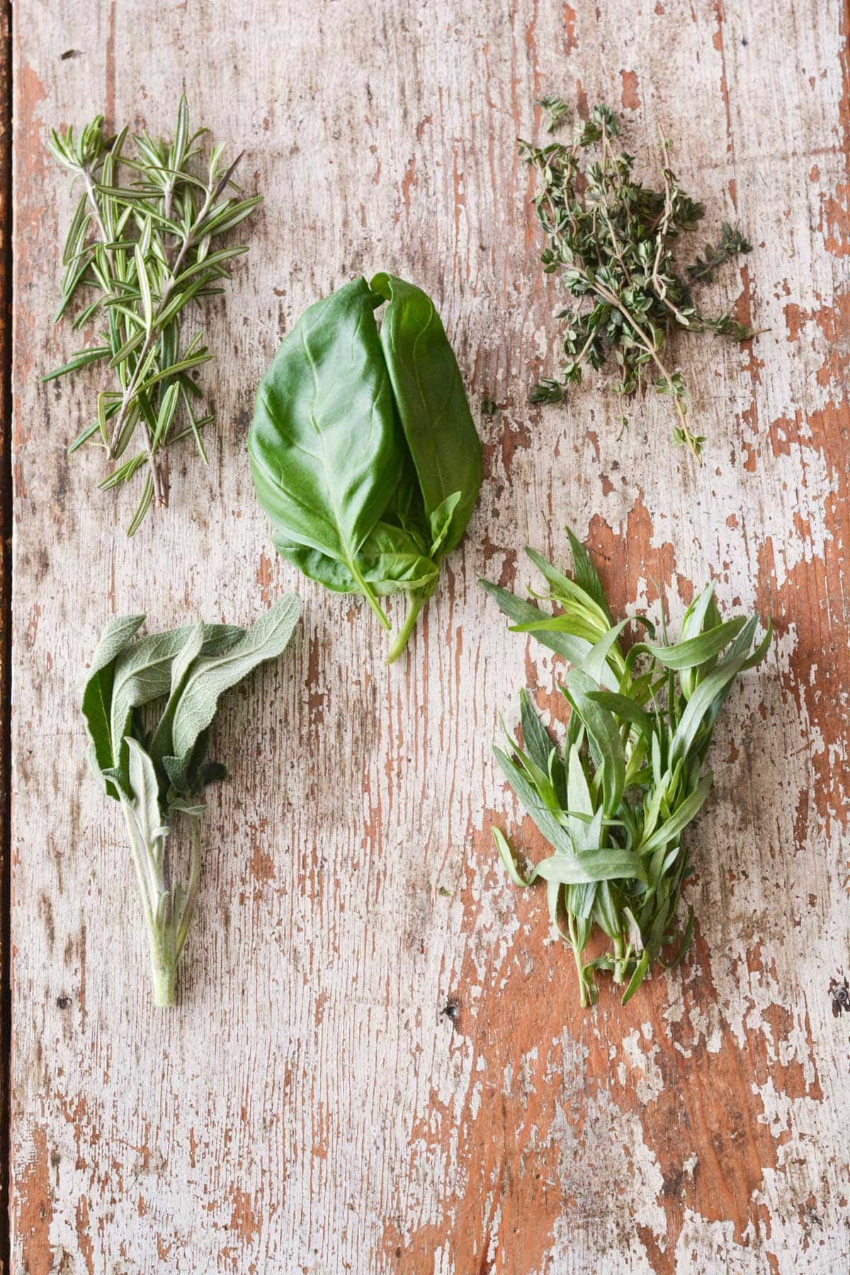How to Make Herb Salts | The Tastes of Life Holistic Cooking and Living