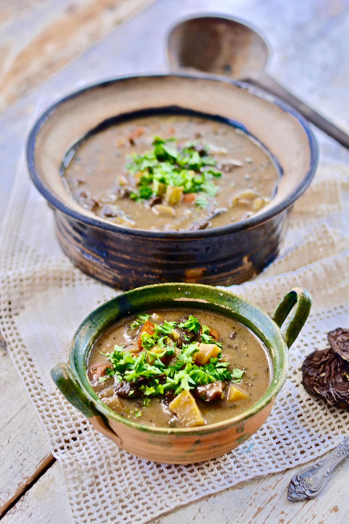 Traditional Polish Wild Mushroom Soup | The Tastes of Life Holistic ...