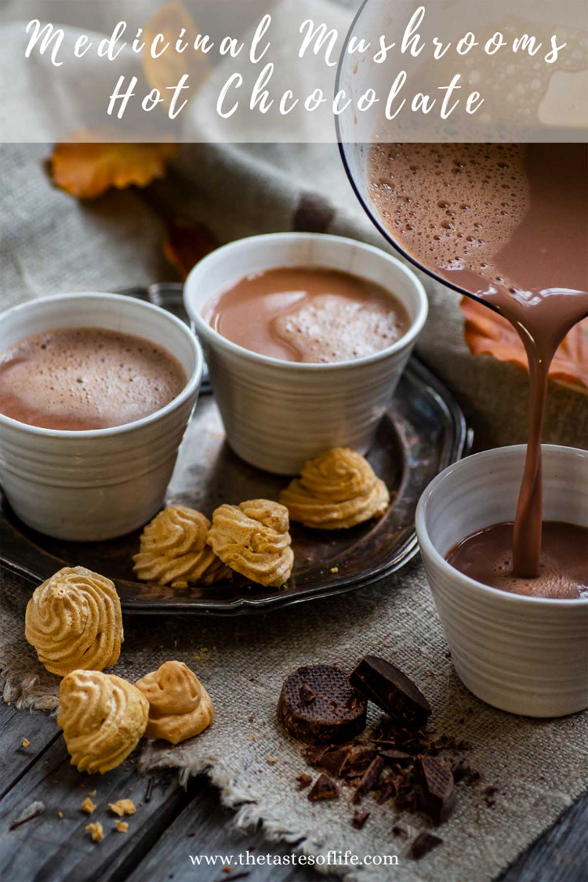 How to make Medicinal Mushrooms Hot Chocolate for Immune Support