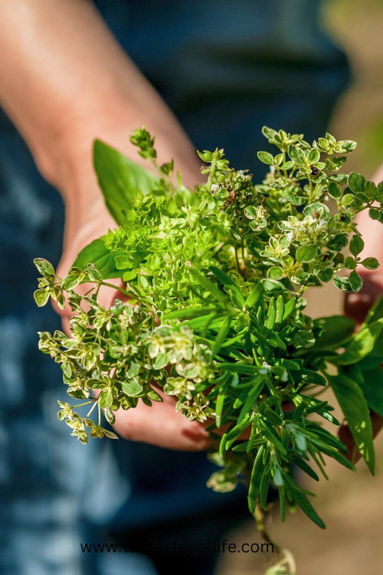 How To Use Herbs In The Kitchen | The Tastes of Life Holistic Cooking ...