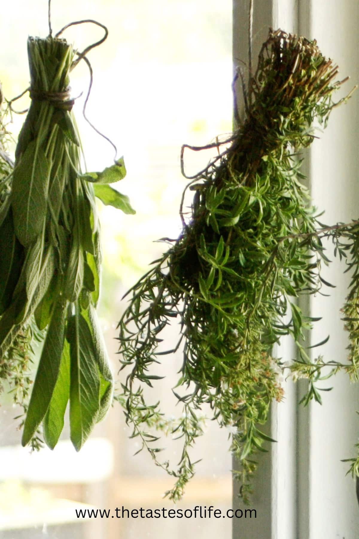 How To Use Herbs In The Kitchen | The Tastes of Life Holistic Cooking ...