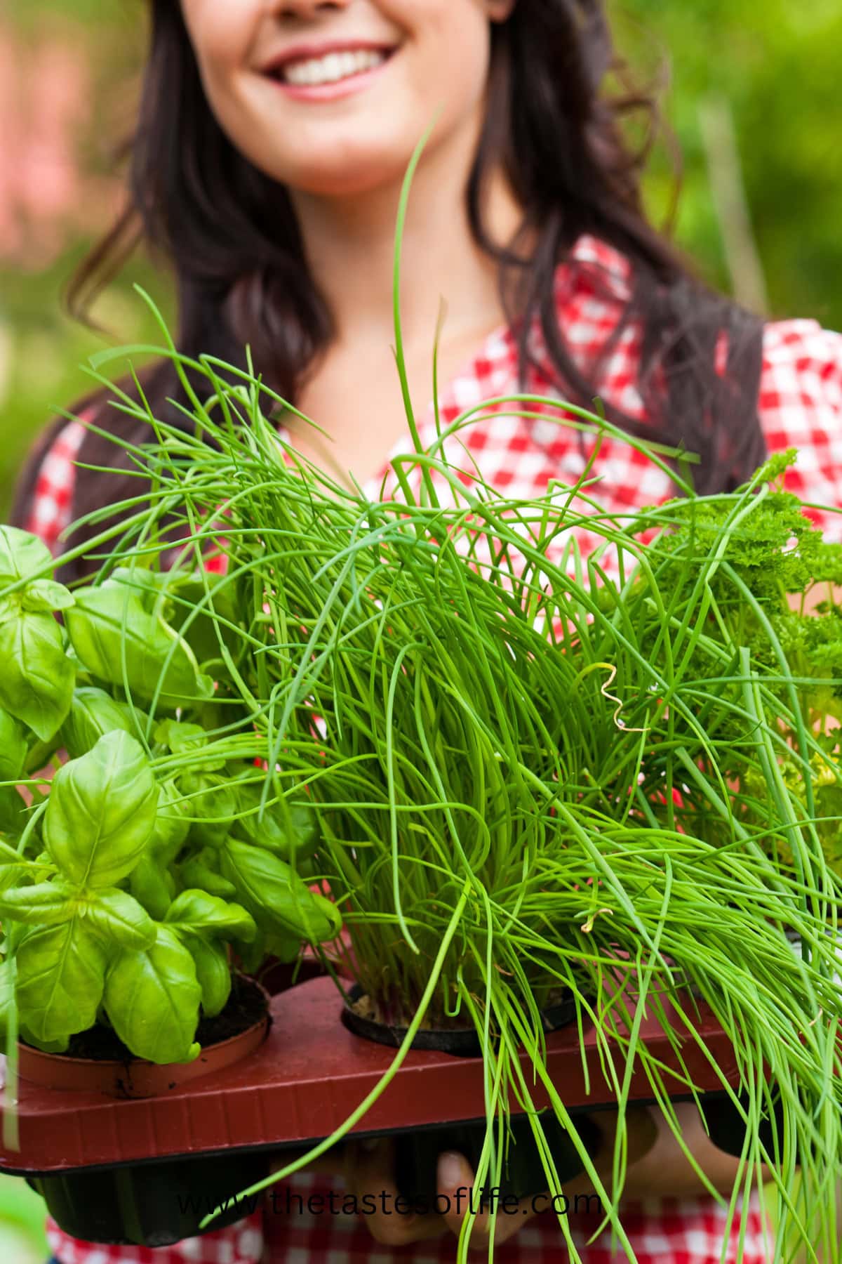 How To Use Herbs In The Kitchen | The Tastes of Life Holistic Cooking ...